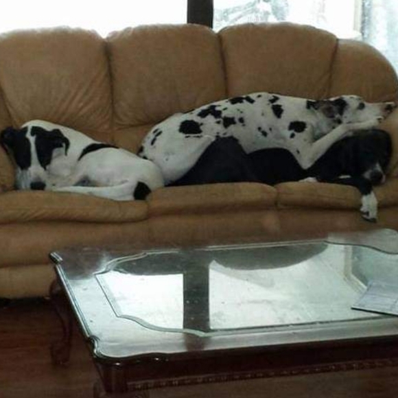 Meet your Posher, Bryn - Picture 17 of 17